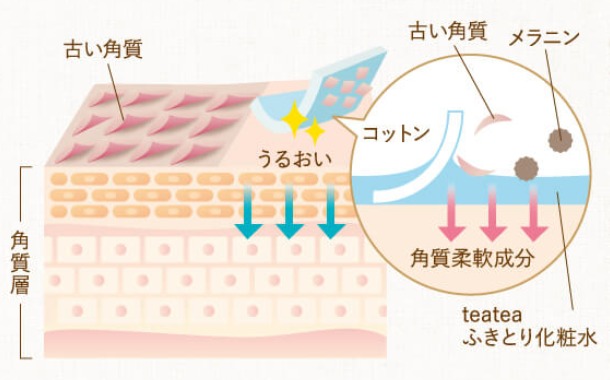 teatea化粧水の解説イメージ画像