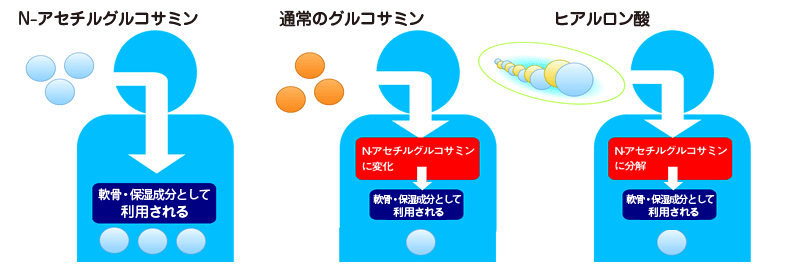 N-アセチルグルコサミン